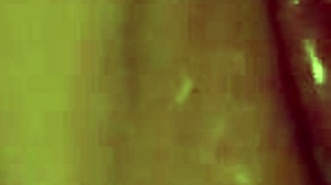 Sexo com garota morena - sozinha em casa