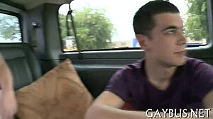 Massive Gay Ramrod Teases Tight Asses in Intense Sessions