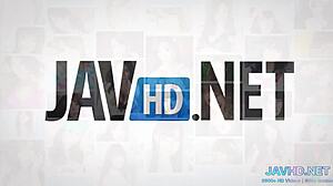 Kimmy Kimm Takes Hard Cock In Multiple Positions Before Facial