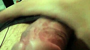 Amateur video of gentle caressing him in a soothing way