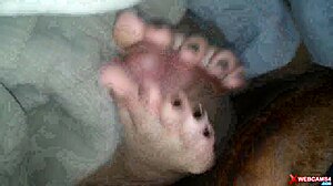 couple footjob cuming in the webcam, homemade amateurs
