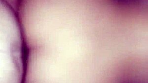 do you want it in the ass