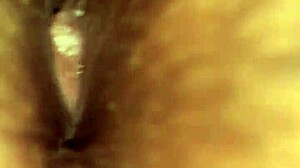 Can you handle fucking neighbor with monster cock?