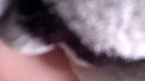 Blowjob And Dick Riding