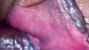 What Secrets Hide in Panocha's Wild World?