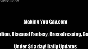 you are my favorite bisexual boy toy in femdom humiliation domination