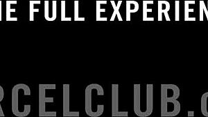 Anya Krey Krijgt Sensueel Pijpbeurt en Doggy Neuken