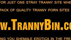 Uau! Travesti Engole Pau Duro Antes de Ação Selvagem!