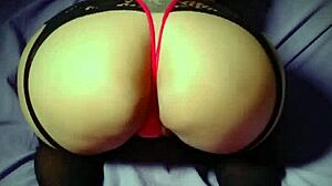 Shake that big Latina ass wildly!