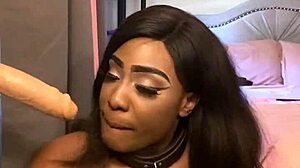 Ebony submissive Lexo Butterflys sucks that cock while spitting and submitting completely