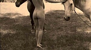 Dark Lantern Entertainment Prezintă Femei Cu Animale Din Viața Mea Secretă Confesiunile Erotice Ale Unui Gentleman Victorian Englez