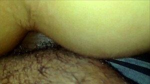 morena gostosa gets her ass eaten