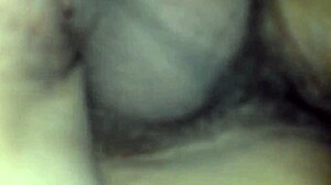 Homemade Amateur Adventures