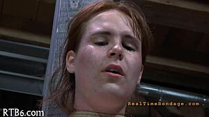 Hardcore Sadomasochism Porn