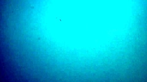 Hot Blonde Ass and Pussy Tease