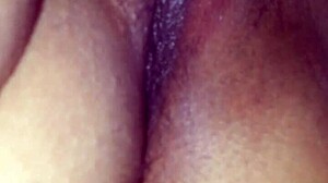 delicious amateur pussy gets sucked intriguingly