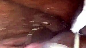 alex porno desires release