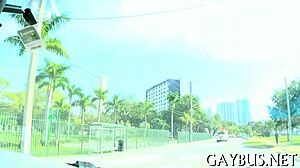 i enjoy watching homosexual videos for free in a personal way