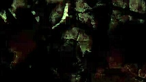 hey, check out these vintage group gatherings with antique vibes