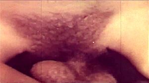 hey, check out these vintage group gatherings with antique vibes