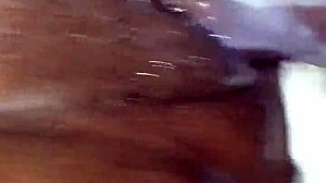 alex porno desires release