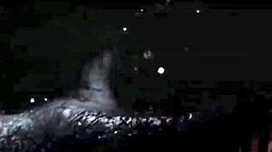 Vintage taboo interracial threesomes with hairy antique group sex