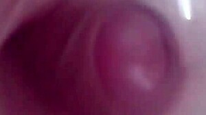 gay guy sucking big cock in detailed close-up scene