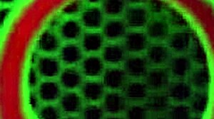 Storbystad Vicky Vette suger hård kuk med nytt sexleksak