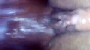 Light Skin Thot Creamy Ebony Amateurs Wet