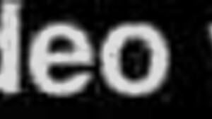 These Argentinian Bunnies In Peru Are So Provocative!