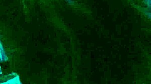 She Sucks Big Black Cock