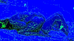 real homemade amateur