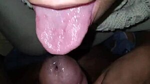 Enjoying a point of view experience with diverse partners