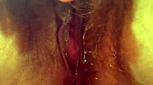 Bankchix cuming pussy with wife