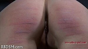 yo, wanna watch some hardcore action right now?