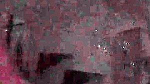 can russian ssbbw handle this big black cock bent over?