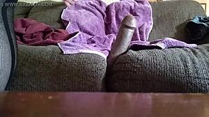 Shemale Ladyboy Content