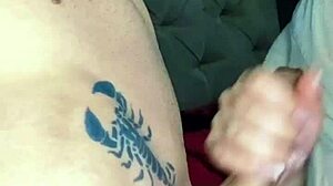 Casal Amador Anderson E Milena