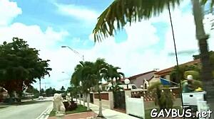 Discover Free Gay Porn Resources Online