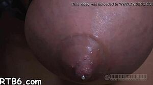 Episode 004 In The Collection