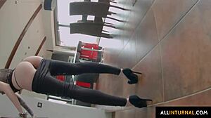 alice d gets creampied in hardcore gonzo action