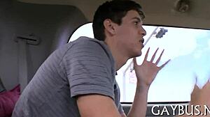 Is this bear ready for intense homosexual action?