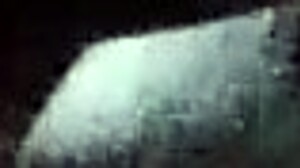 wifey gets ready for a fun day