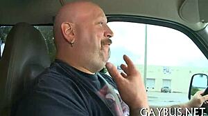 Free Pictures of Homo Sex.