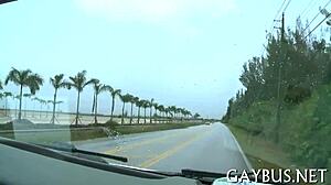 Free Pictures of Homo Sex.