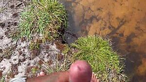 Why Not Join Me And My Friends In The Swamp?