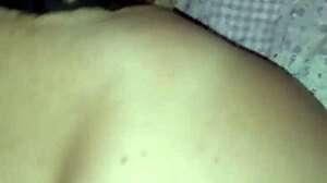 Amiga and I as amateurs