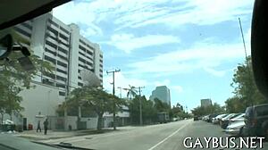 Intense Homo Sex Action On Xvideos!