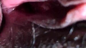 sex in the morning with wife