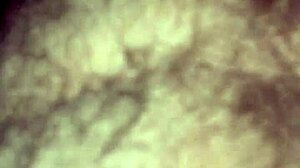 willy and jesse with matthew